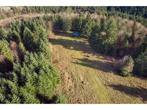0 Bishop Creek Road Deer Island OR 97054