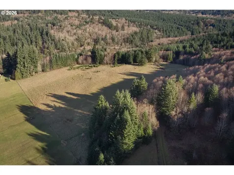 0 Bishop Creek Road Deer Island OR 97054
