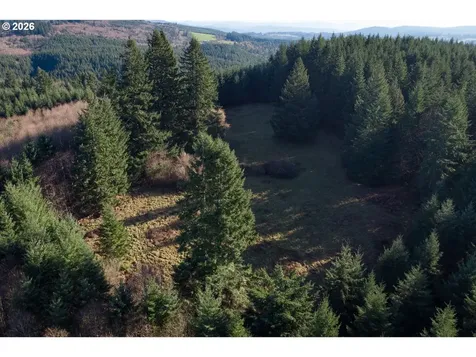 0 Bishop Creek Road Deer Island OR 97054