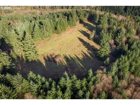 0 Bishop Creek Road Deer Island OR 97054