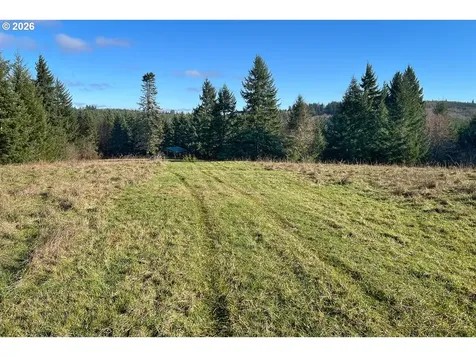 0 Bishop Creek Road Deer Island OR 97054