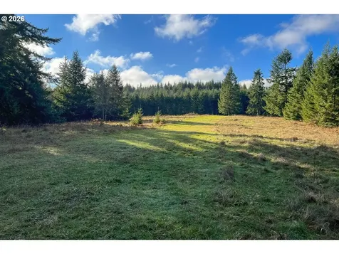 0 Bishop Creek Road Deer Island OR 97054