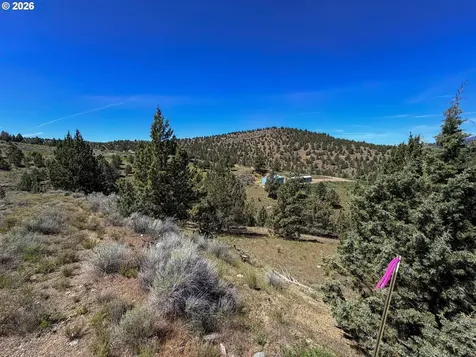 Luce Creek Road John Day OR 97845