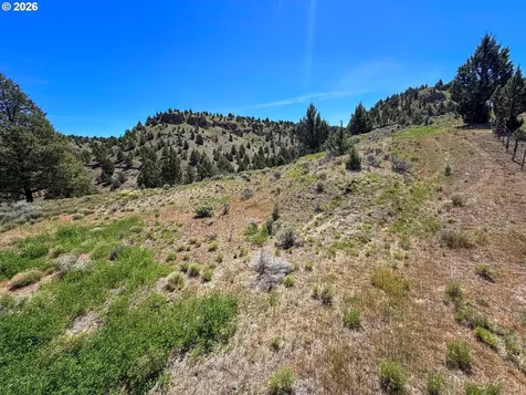 Luce Creek Road John Day OR 97845