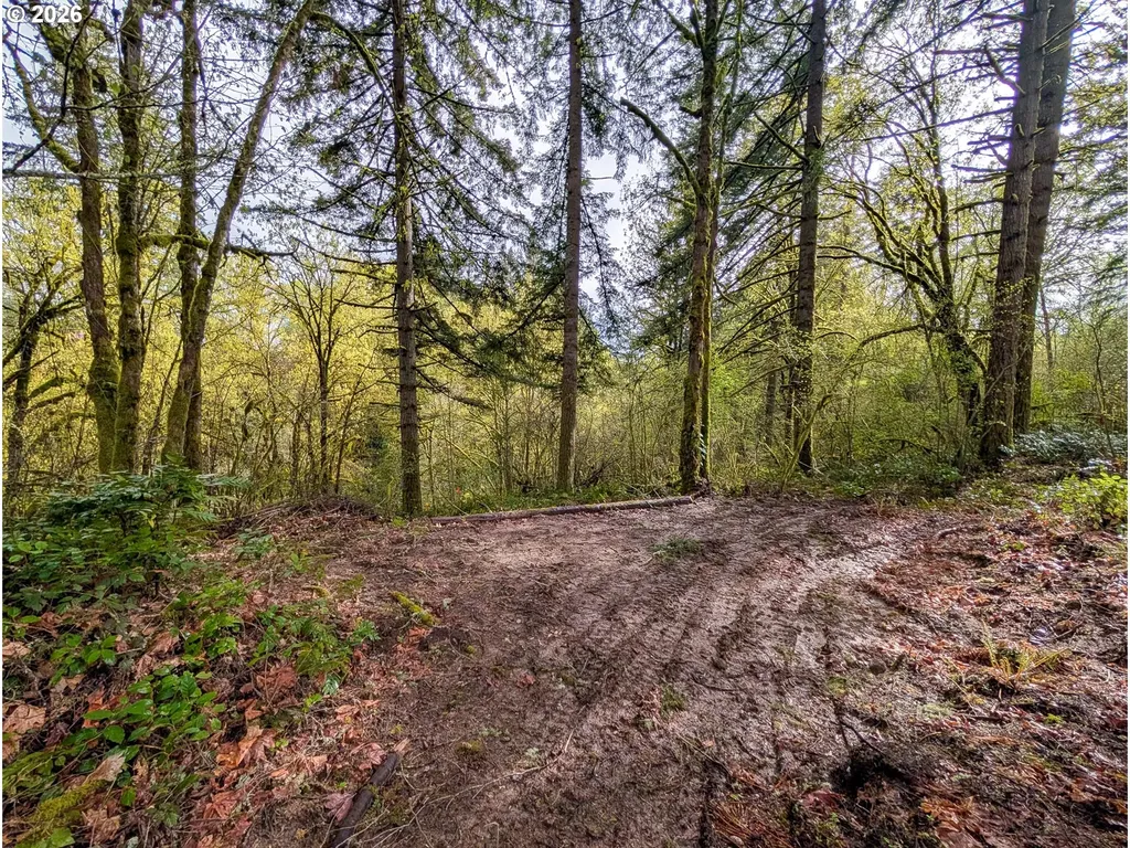 000 NE Finalburg Road La Center WA 98629