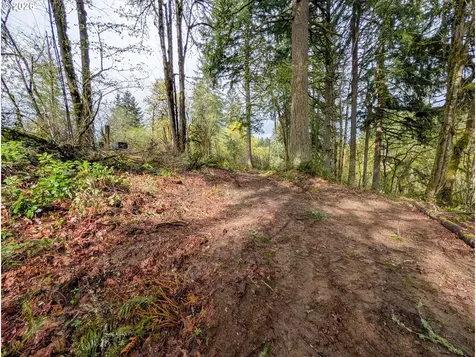 000 NE Finalburg Road La Center WA 98629