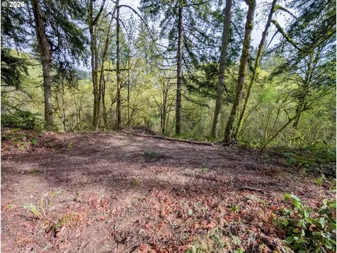 000 NE Finalburg Road La Center WA 98629