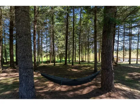 308 Atmore Road Toutle WA 98649