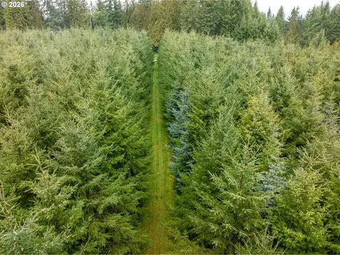 76382 Delena Mayger Road Rainier OR 97048