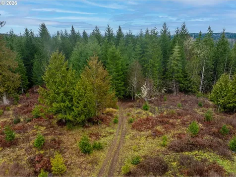 76382 Delena Mayger Road Rainier OR 97048