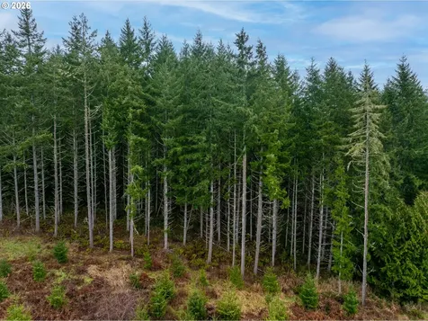 76382 Delena Mayger Road Rainier OR 97048