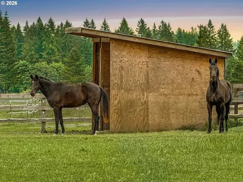 SW Homesteader Wilsonville OR 97070