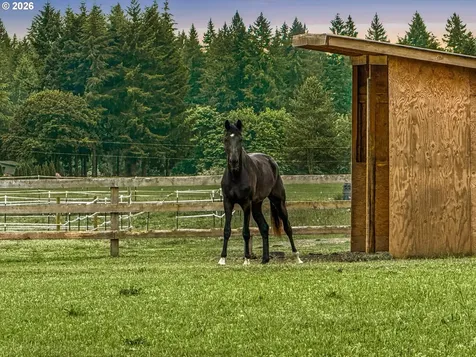 SW Homesteader Wilsonville OR 97070