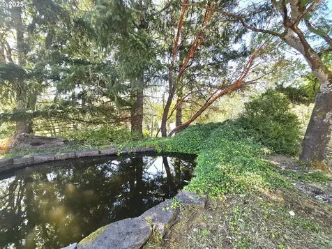 290 Bentridge Road Oakland OR 97462