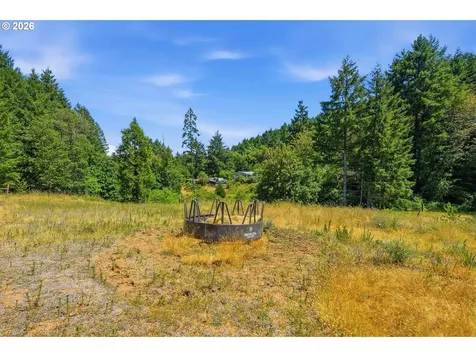 1060 Murdock Drive Oakland OR 97462