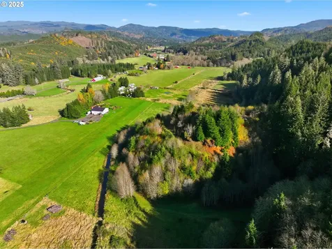 314 E Valley Road Skamokawa WA 98647