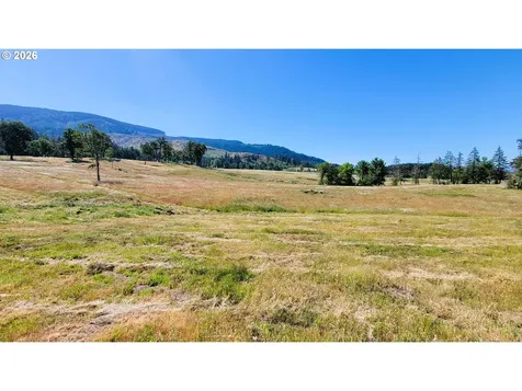 34084 Mt Tom Drive Harrisburg OR 97446