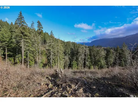 562 Woodard Creek Road Stevenson WA 98648