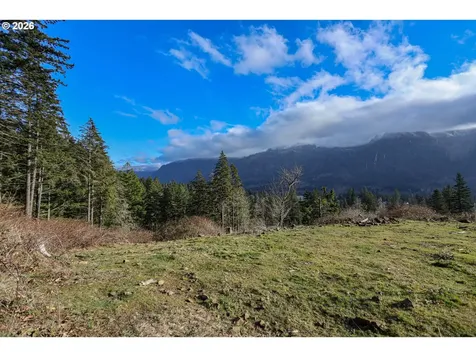 562 Woodard Creek Road Stevenson WA 98648
