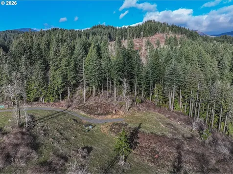 562 Woodard Creek Road Stevenson WA 98648