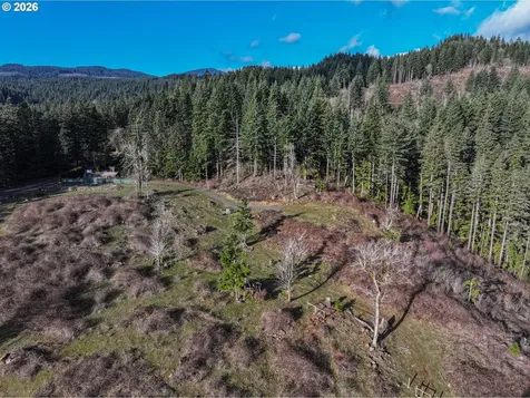 562 Woodard Creek Road Stevenson WA 98648
