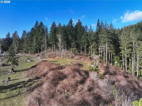562 Woodard Creek Road Stevenson WA 98648