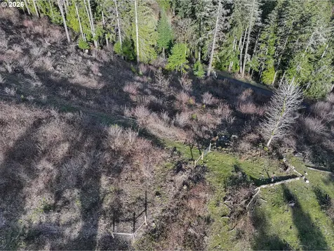 562 Woodard Creek Road Stevenson WA 98648