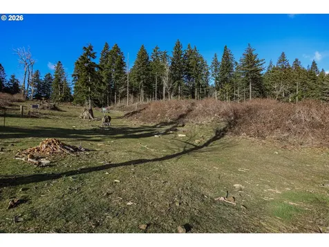 562 Woodard Creek Road Stevenson WA 98648