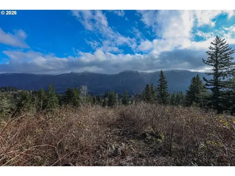 562 Woodard Creek Road Stevenson WA 98648