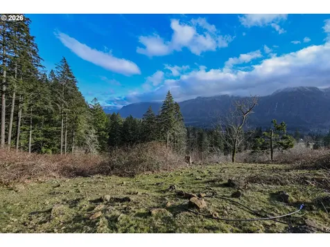 562 Woodard Creek Road Stevenson WA 98648