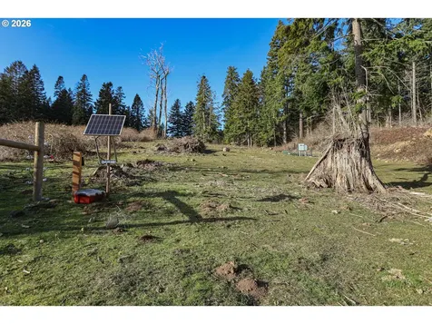 562 Woodard Creek Road Stevenson WA 98648