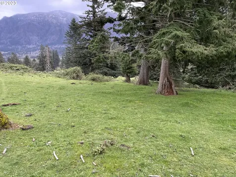 562 Woodard Creek Road Stevenson WA 98648