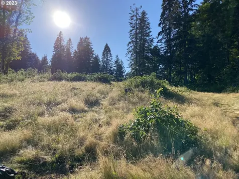562 Woodard Creek Road Stevenson WA 98648