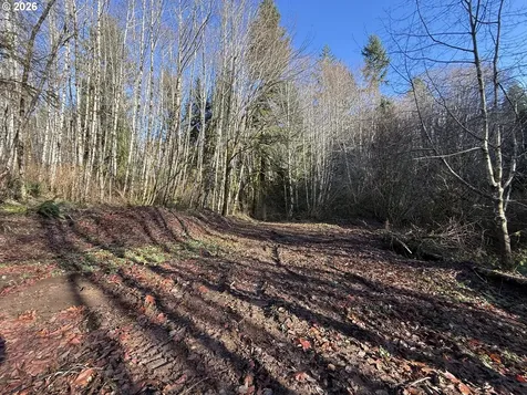 81739 Christmas Tree Road Seaside OR 97138
