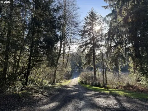 81739 Christmas Tree Road Seaside OR 97138