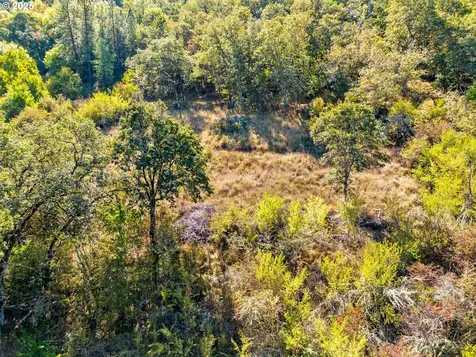 498 SE Dos Gatos Court Roseburg OR 97470