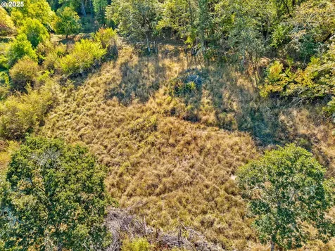 498 SE Dos Gatos Court Roseburg OR 97470