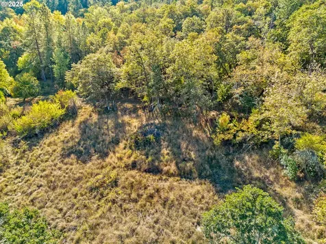 498 SE Dos Gatos Court Roseburg OR 97470