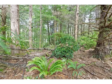 1153 S Drift Creek Road Lincoln City OR 97367
