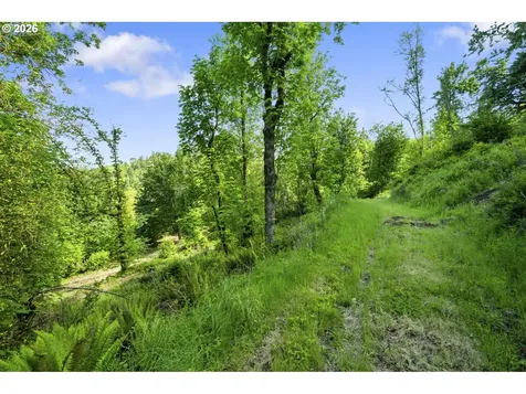 110 N Burke Road Woodland WA 98674