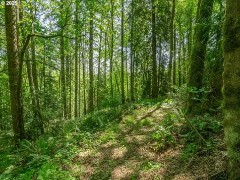 27701 SW Strawberry Hill Drive Hillsboro OR 97123