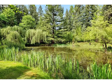 29909 NW 51st Avenue Ridgefield WA 98642