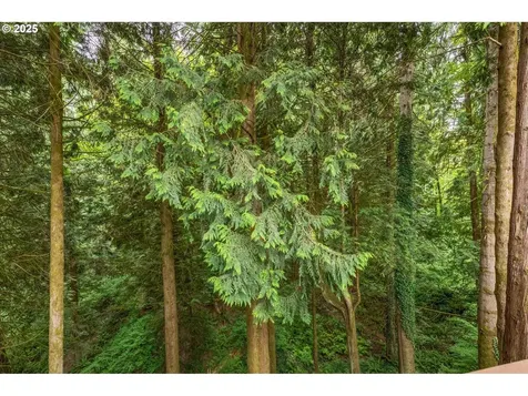 243 W Street James Place Longview WA 98632