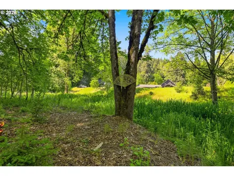 41895 Holden Creek Lane Springfield OR 97478