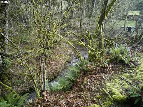 23708 NE Canyon Loop Road Battle Ground WA 98604