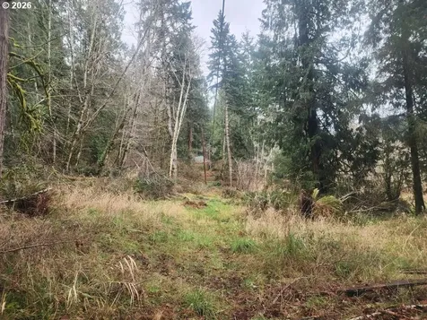 3117 S Tenmile Lakeside OR 97449