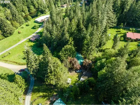 56010 Goldbrick Road Myrtle Point OR 97458