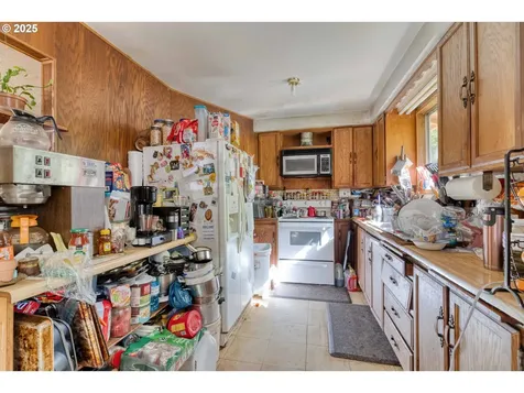 56010 Goldbrick Road Myrtle Point OR 97458
