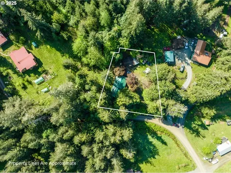 56010 Goldbrick Road Myrtle Point OR 97458
