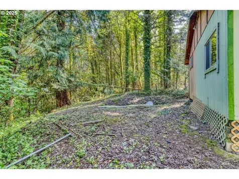 56010 Goldbrick Road Myrtle Point OR 97458